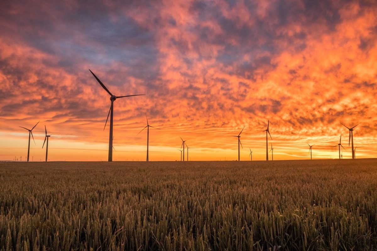 Quelle bouilloire électrique pour économiser l'énergie