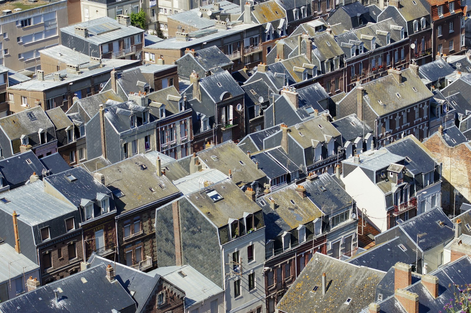 Investissements en 2023 : SCPI, énergies renouvelables et plus