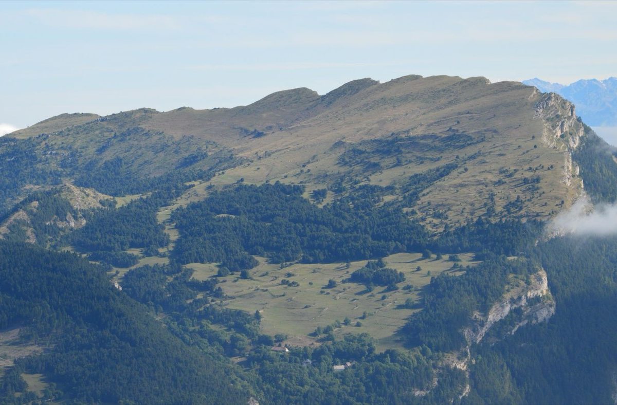 Guide d'orientation administrative pour le Gard