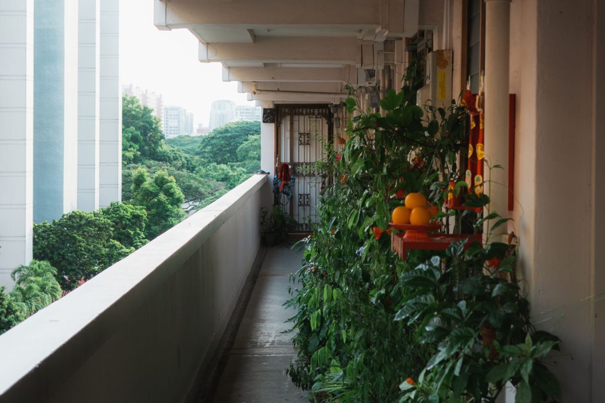 Long balcon amenage en jardin potager avec pots de plantes