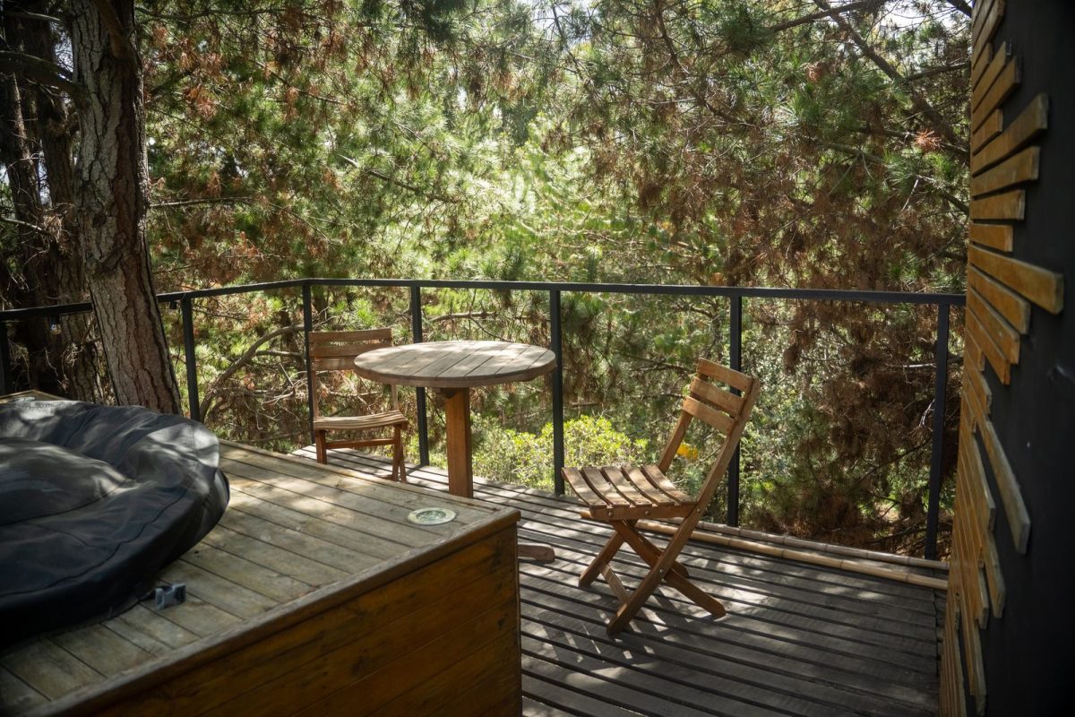 Comparatif bois massif et bois composite pour terrasse