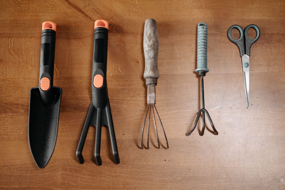 Outils de jardinage disposes sur une table en bois