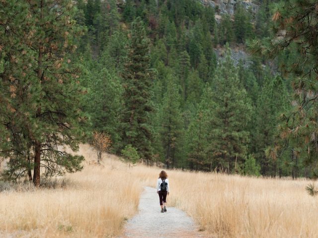 Randonnée en Cévennes : faut-il vraiment des protéines en poudre ?