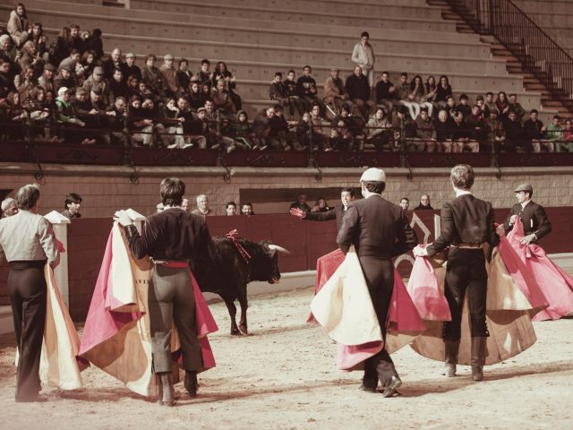 Nîmes : Un spectacle de corrida qui enflamme la féria des Vendanges