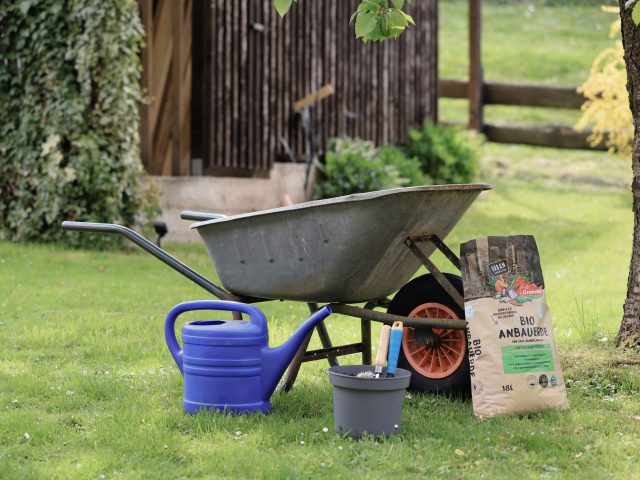 Entretenir son jardin toute l&rsquo;année : les clés du succès