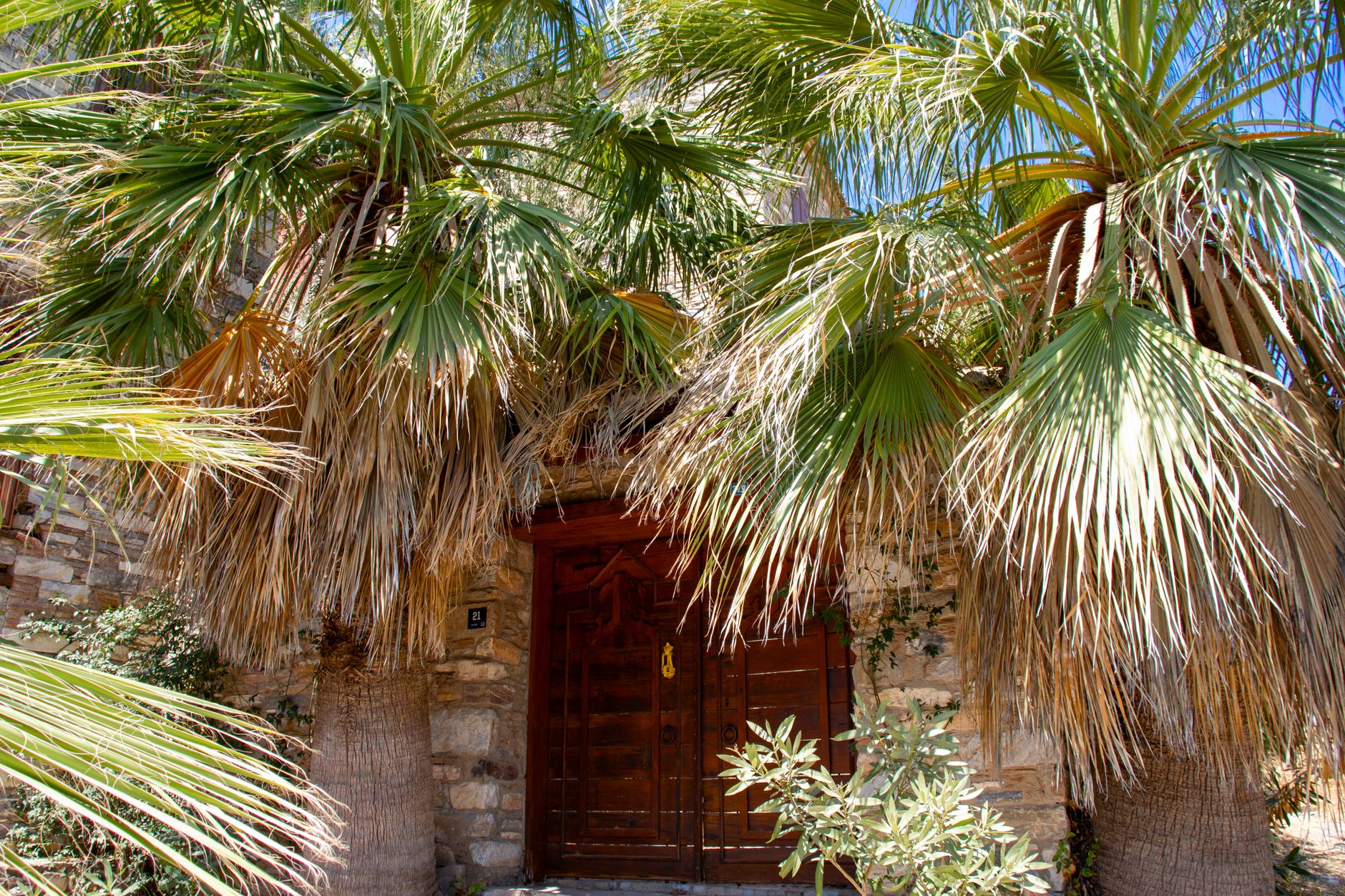 Jardin et extérieurs : guide d'entrée