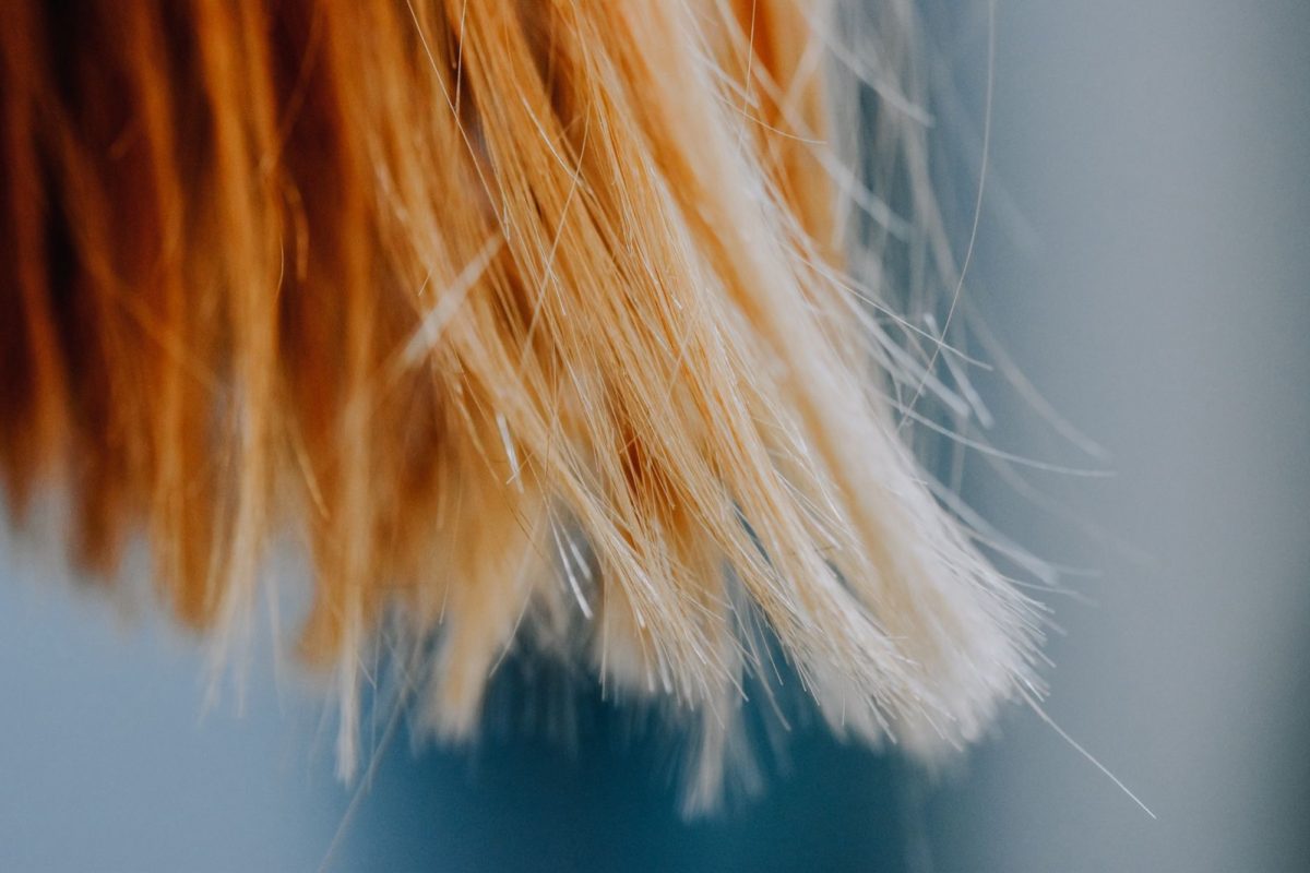 Cheveux fragilisés : les signes à repérer avant un complexe en gouttes
