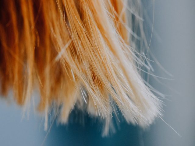 Cheveux fragilisés : les signes à repérer avant un complexe en gouttes