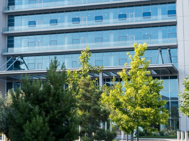 Investir dans la pierre papier : ce que le Gardois doit savoir