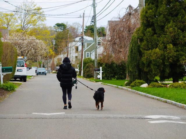 Petits boulots à domicile dans le Gard : combien ça rapporte vraiment