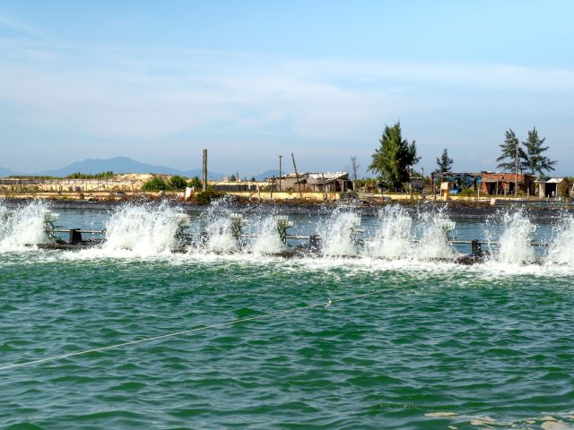 Eau : comment le Gard prépare son avenir face aux défis climatiques
