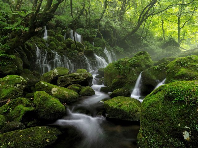 Le Gard Rhodanien : Une Réinvention au Service de l’Avenir